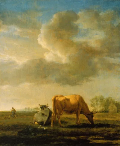 Cows on a Meadow by Adriaen van de Velde
