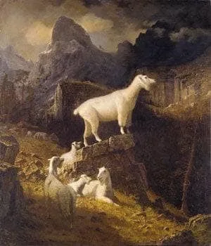Rocky Mountain Goats by Albert Bierstadt, 1885