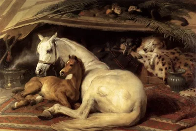 The Arab Tent by Edwin Henry Landseer