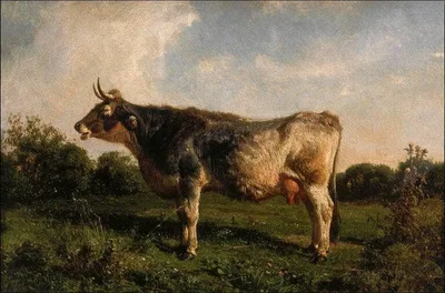 Cow in a meadow by Filippo Palizzi