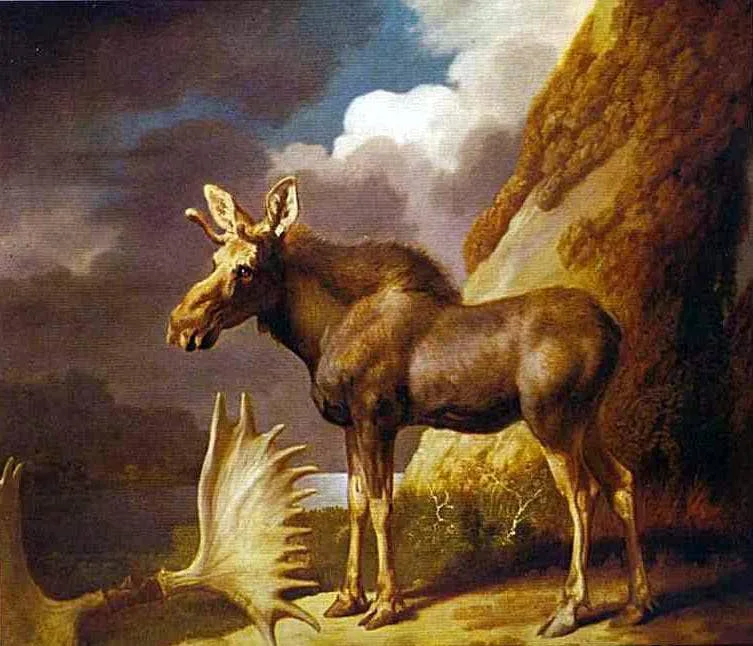 The Moose by George Stubbs, 1773
