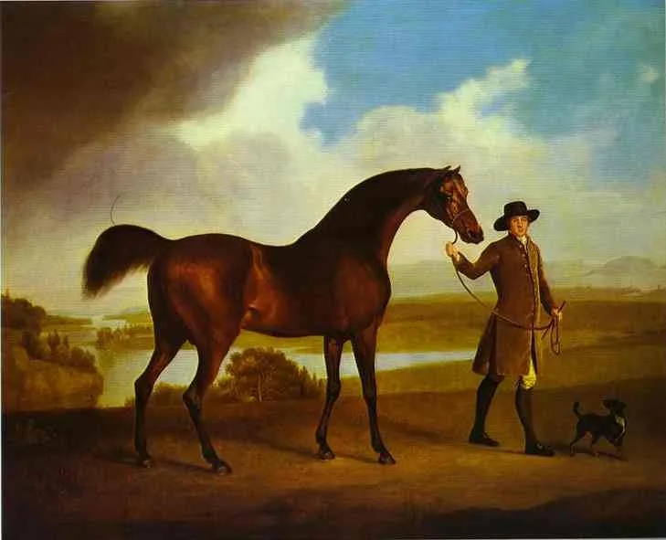 Earl Grosvenor’s Bandy by George Stubbs