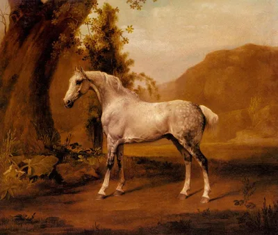A Grey Stallion In A Landscape by George Stubbs