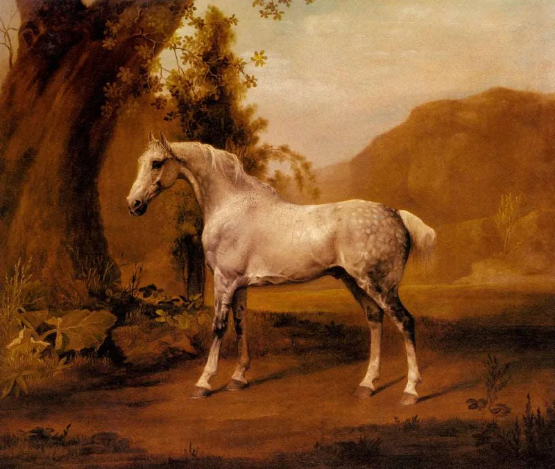 A Grey Stallion In A Landscape by George Stubbs