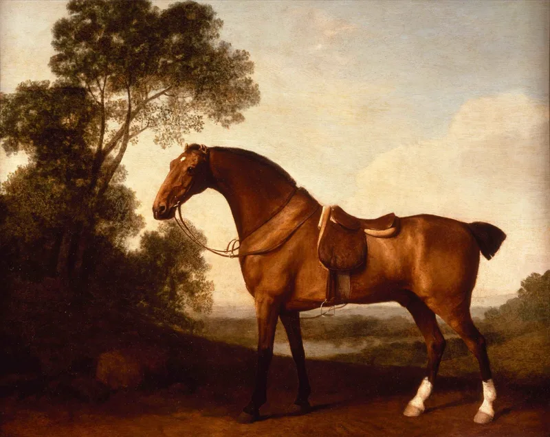 A Saddled Bay Hunter by George Stubbs, 1786
