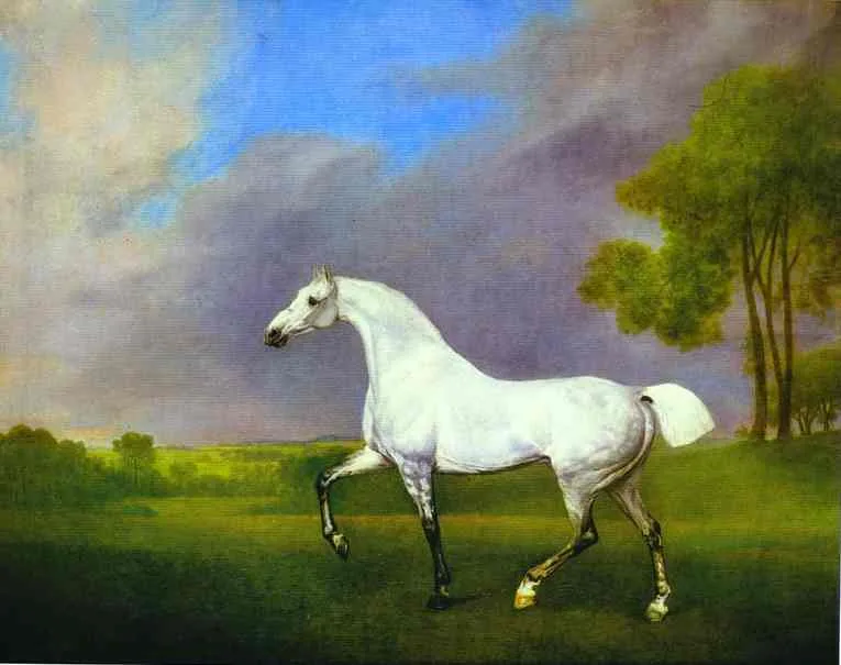 A Grey Horse by George Stubbs, 1793