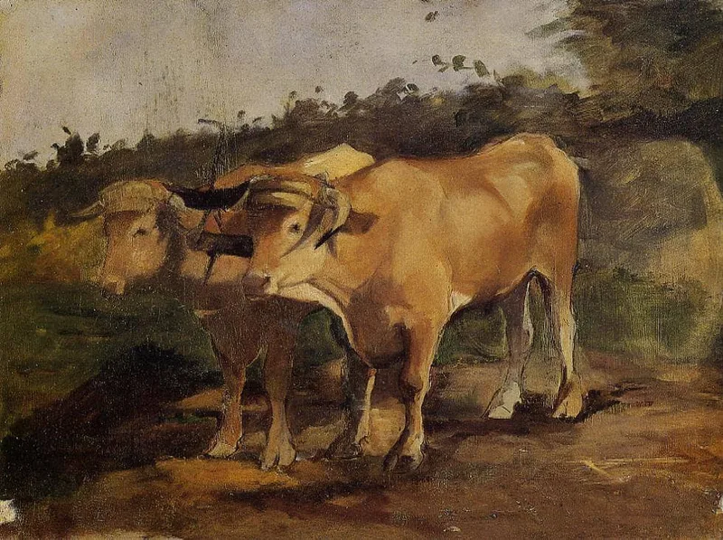 Two Bulls Wearing a Yoke by Henri de Toulouse-Lautrec, 1881
