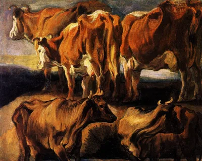 Five studies of cows by Jacob Jordaens
