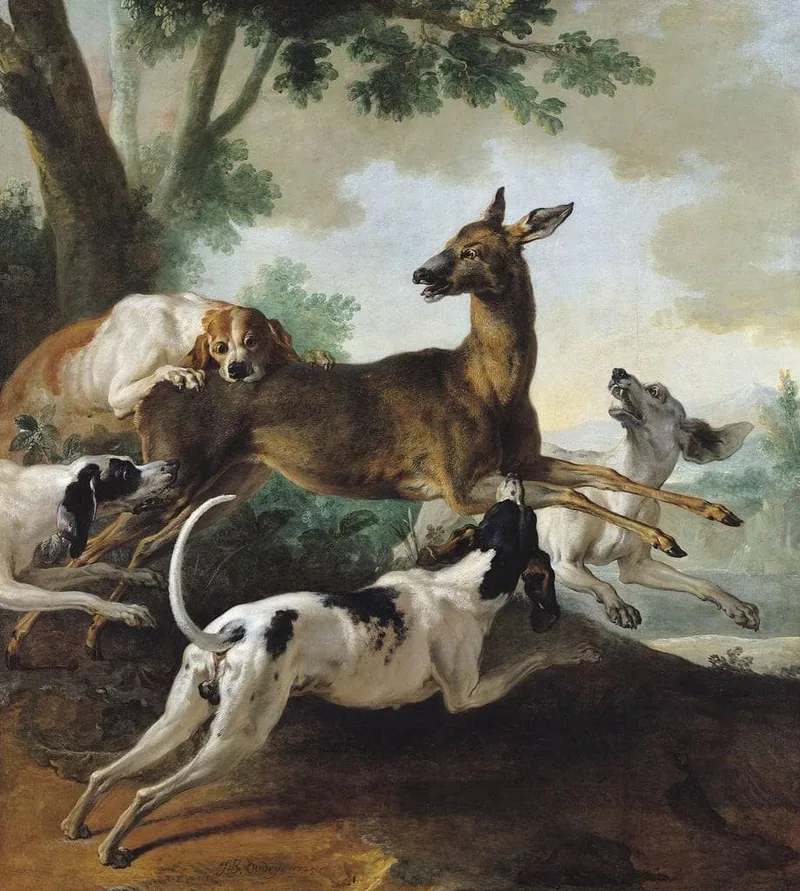 A Deer Chased by Dogs by Jean-Baptiste Oudry, 1725