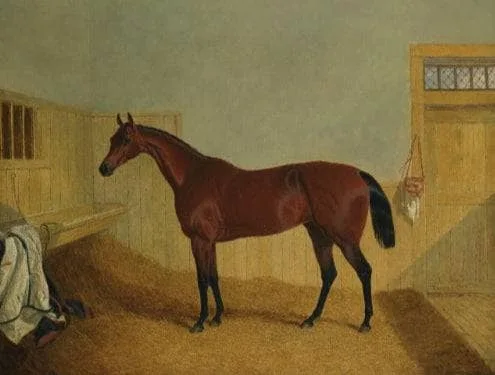 Mr. William Orde’s Bay Filly "beeswing’in a Stable by John Frederick Herring Sr.