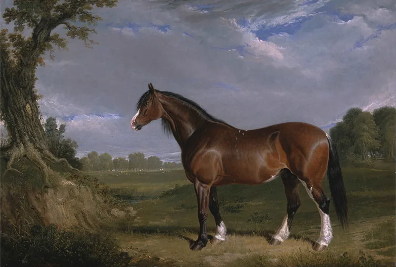A Clydesdale Stallion by John Frederick Herring Sr., 1820
