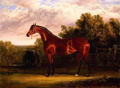 Negotiator, a Bay Horse in a Landscape by John Frederick Herring Sr.