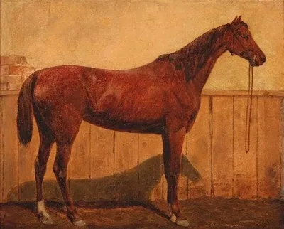 A horse in a stable by Jørgen Sonne
